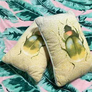 Beetles 🪲 Pillows